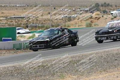 media/May-03-2025-Lucky Dog Racing (Sat) [[206de64b9d]]/Turn 4 B (1150am-130pm)/